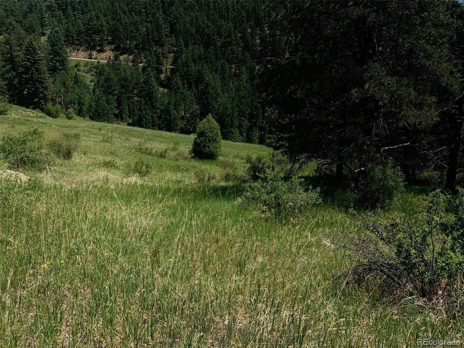 00 Douglas Mtn Drive Golden CO 80403 | MLS #REC7785105 04272026063432 1600 7