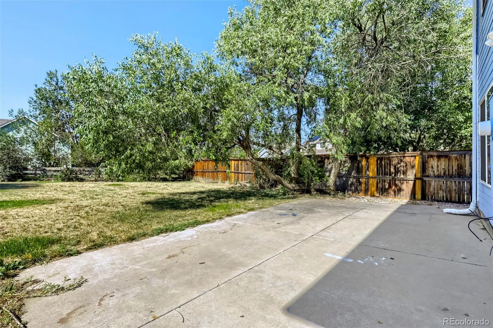 21004 E 41st Place Denver CO 80249 | MLS #REC7795055 07202026130350 1600 23