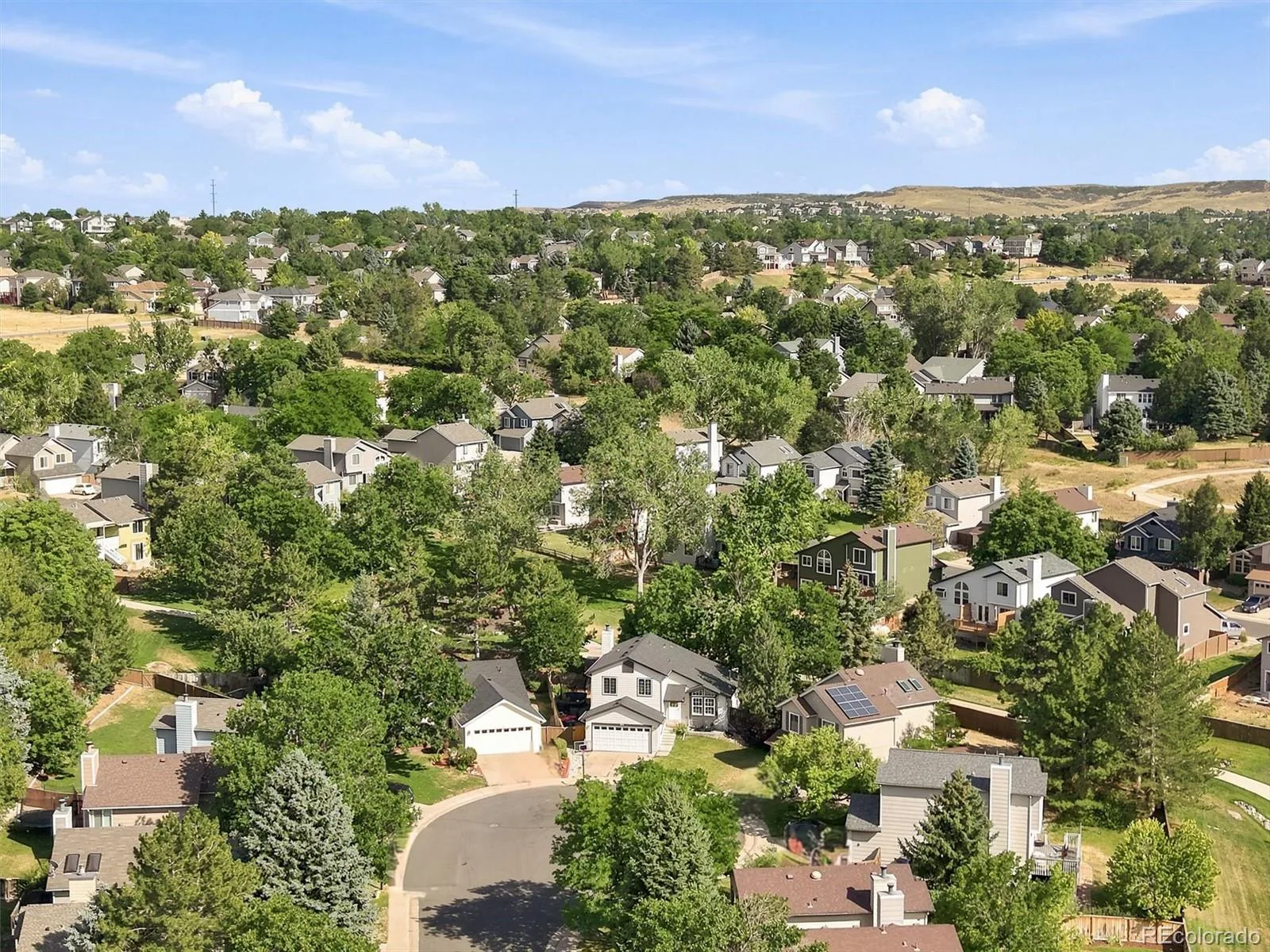 6446 Nassau Court Highlands Ranch CO 80130 | MLS #REC7803463 08102026142043 1600 31