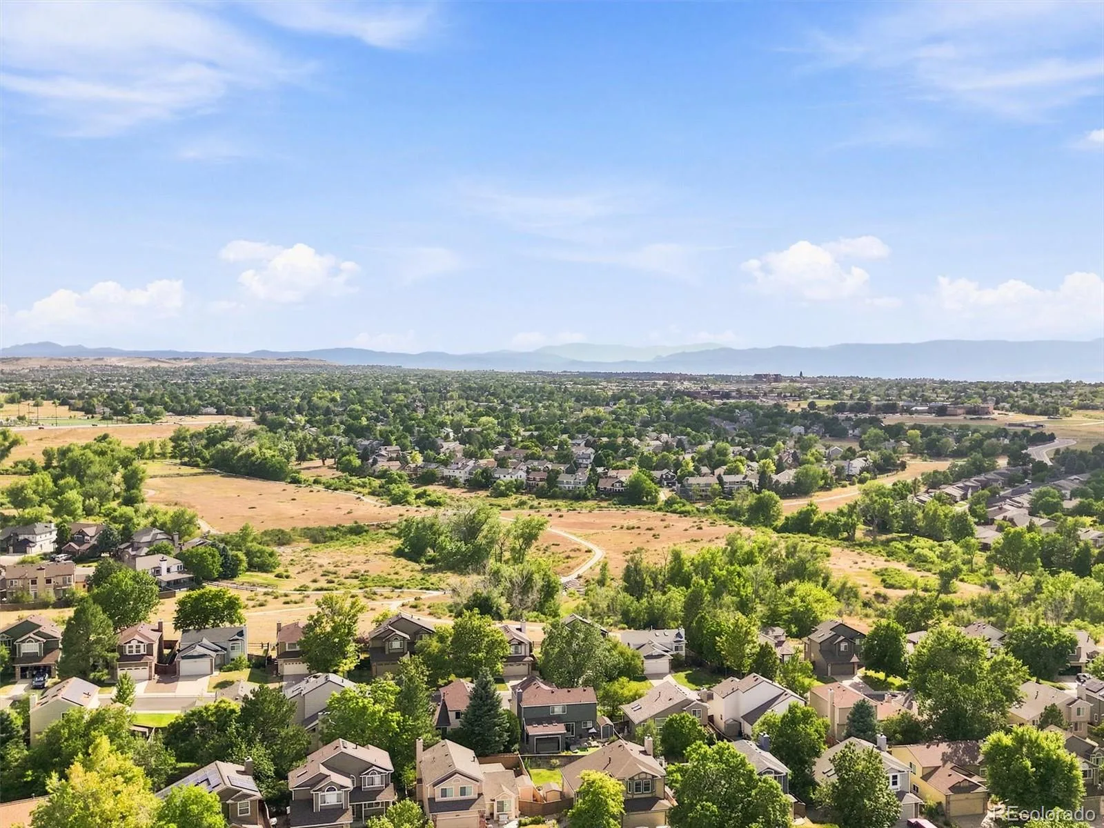 6446 Nassau Court Highlands Ranch CO 80130 | MLS #REC7803463 08102026142043 1600 34