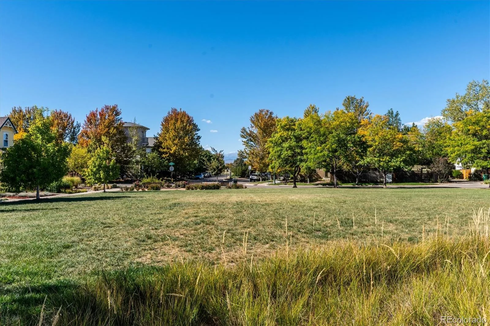 3477 Florence Way Denver CO 80238 | MLS #REC7808413 10132026194546 1600 39