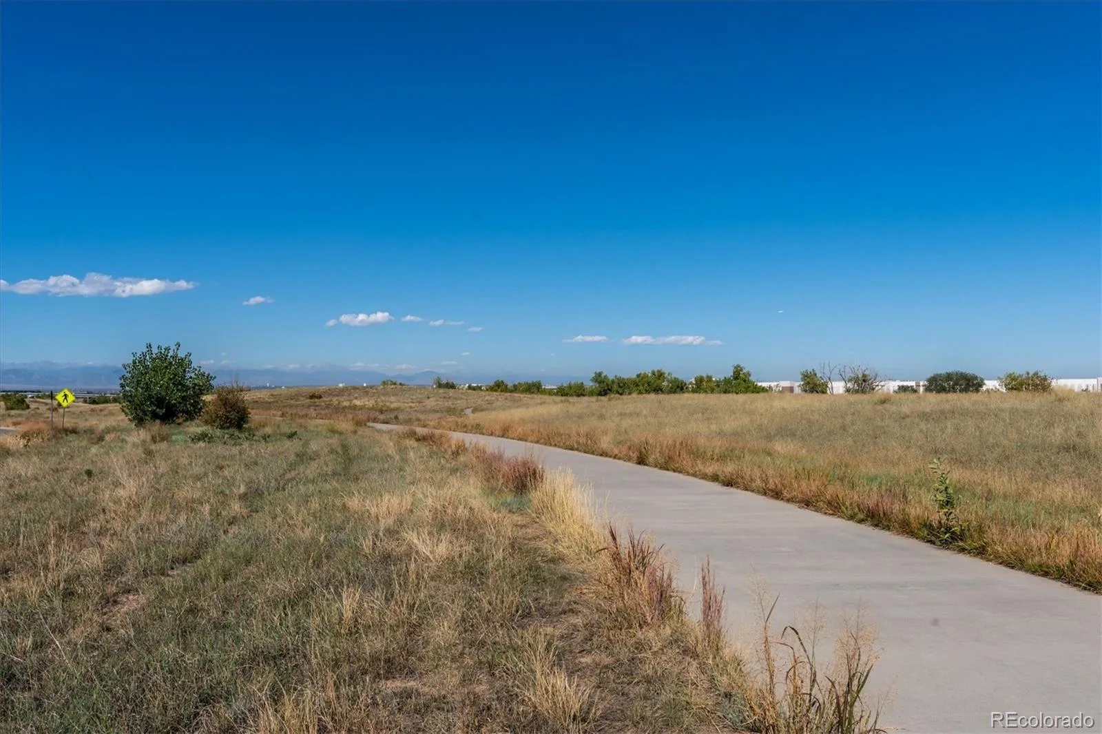 3477 Florence Way Denver CO 80238 | MLS #REC7808413 10132026194546 1600 40