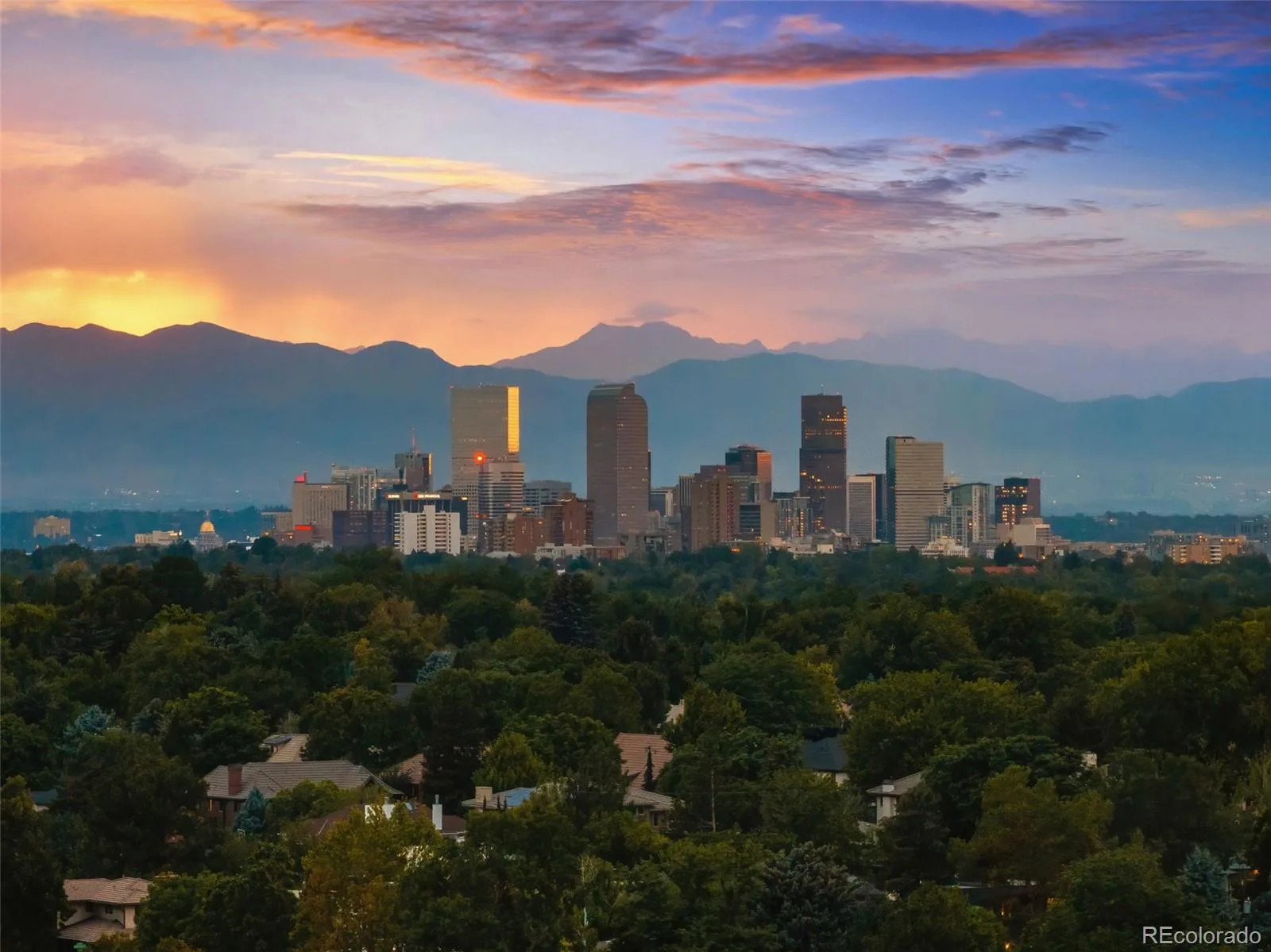 20 Ivanhoe Street Denver CO 80220 | MLS #REC7813114 09302026174241 1600 49
