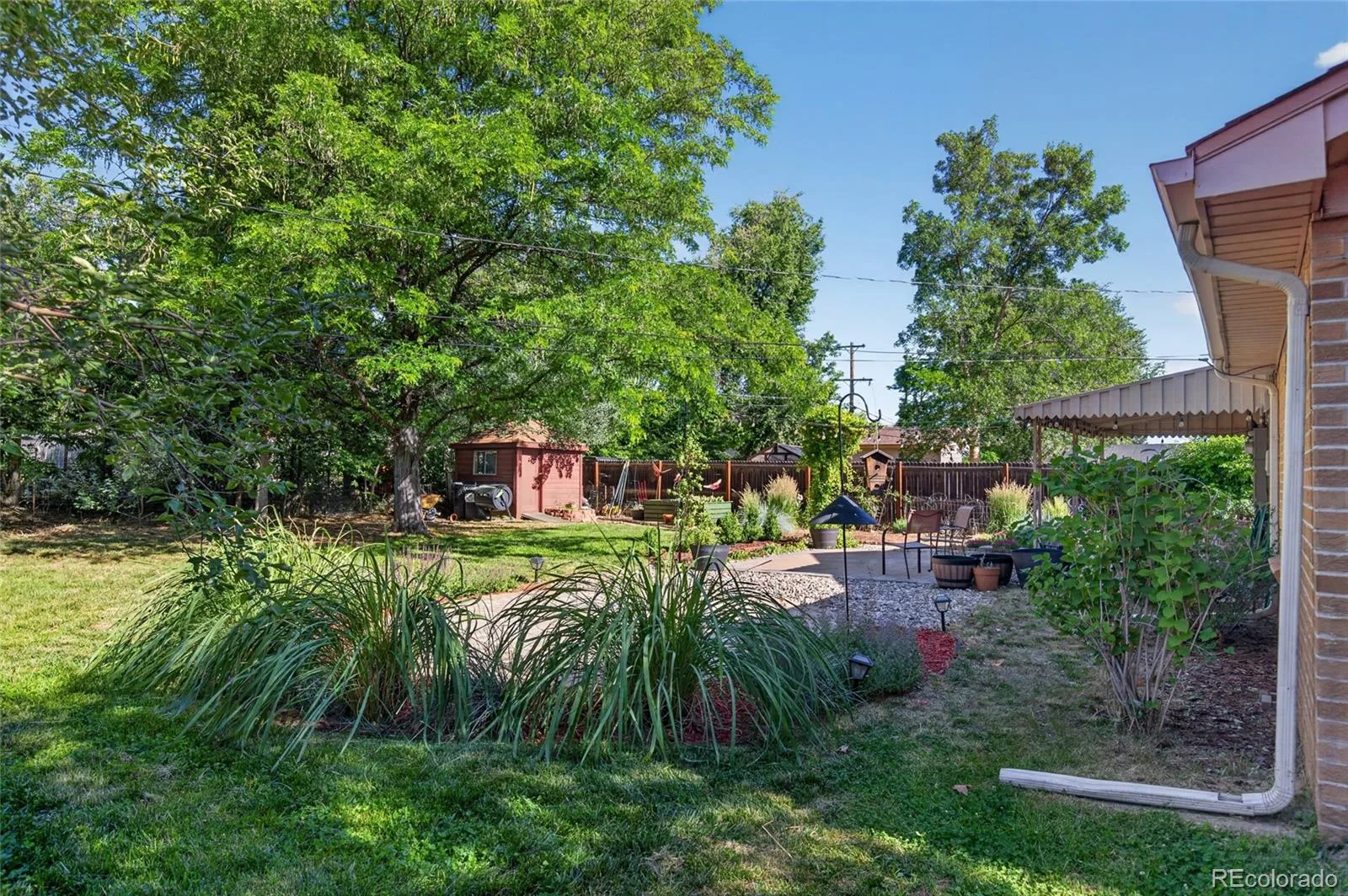 4351 Marshall Street Wheat Ridge CO 80033 MLS #REC7821469 06172026145522 1600 25