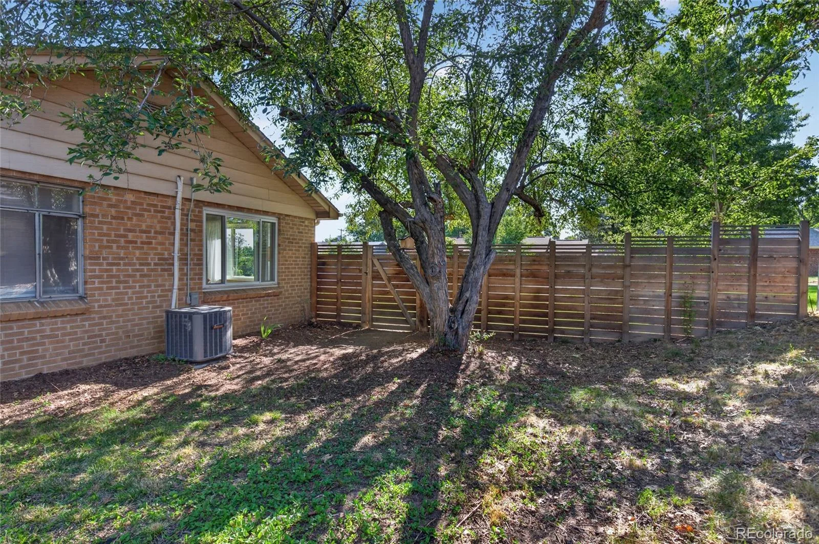 4351 Marshall Street Wheat Ridge CO 80033 MLS #REC7821469 06172026145522 1600 27