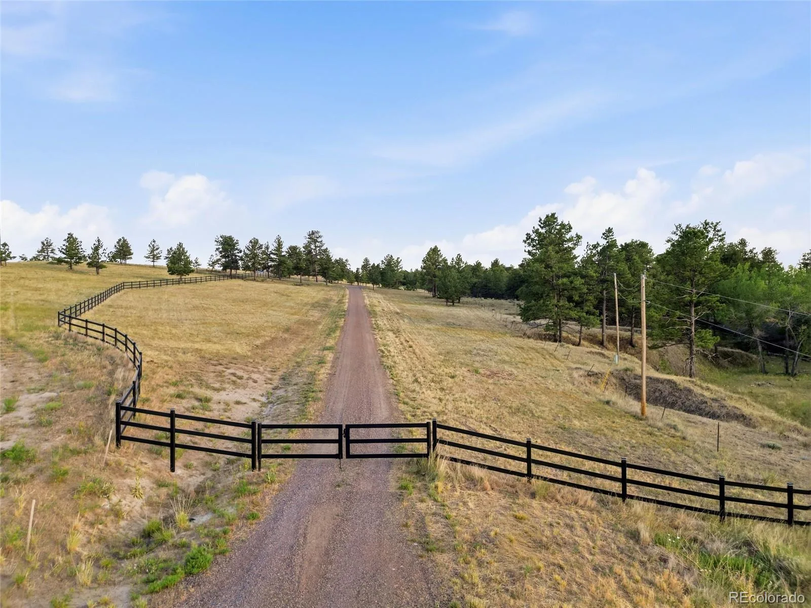 47682 Knibbe Court Parker CO 80138 | MLS #REC7823012 08012026210141 1600 11