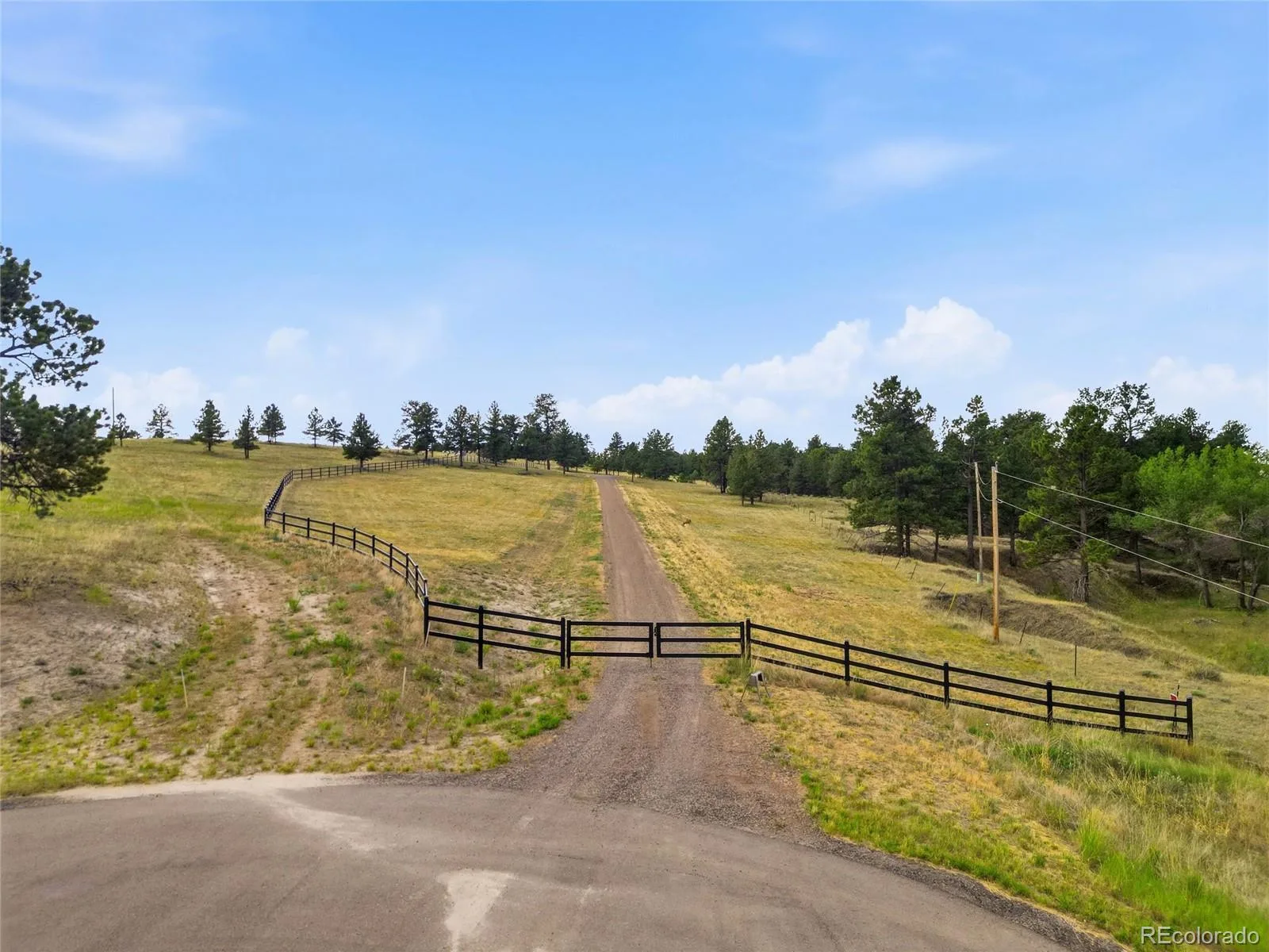 47682 Knibbe Court Parker CO 80138 | MLS #REC7823012 08012026210141 1600 12