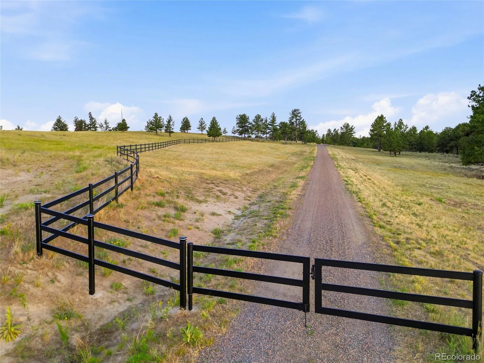 47682 Knibbe Court Parker CO 80138 | MLS #REC7823012 08012026210141 1600 13
