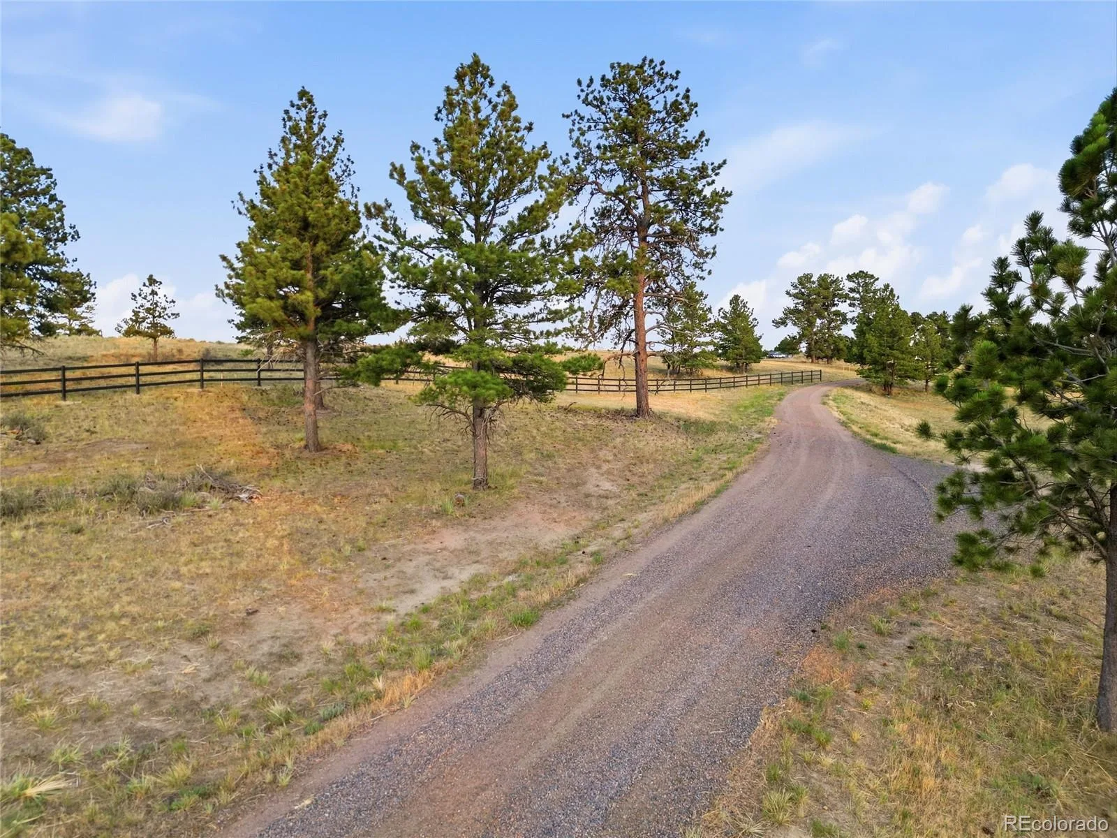 47682 Knibbe Court Parker CO 80138 | MLS #REC7823012 08012026210141 1600 14