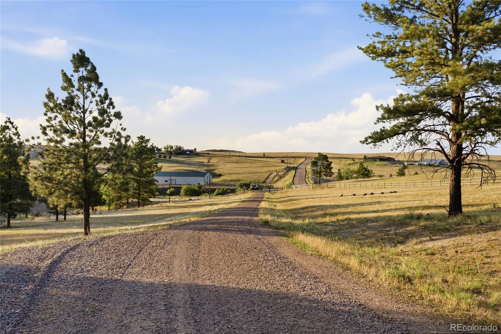 47682 Knibbe Court Parker CO 80138 | MLS #REC7823012 08012026210141 1600 17