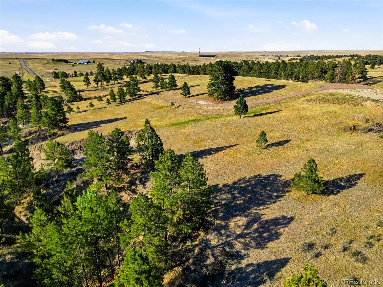 47682 Knibbe Court Parker CO 80138 | MLS #REC7823012 08012026210141 1600 22