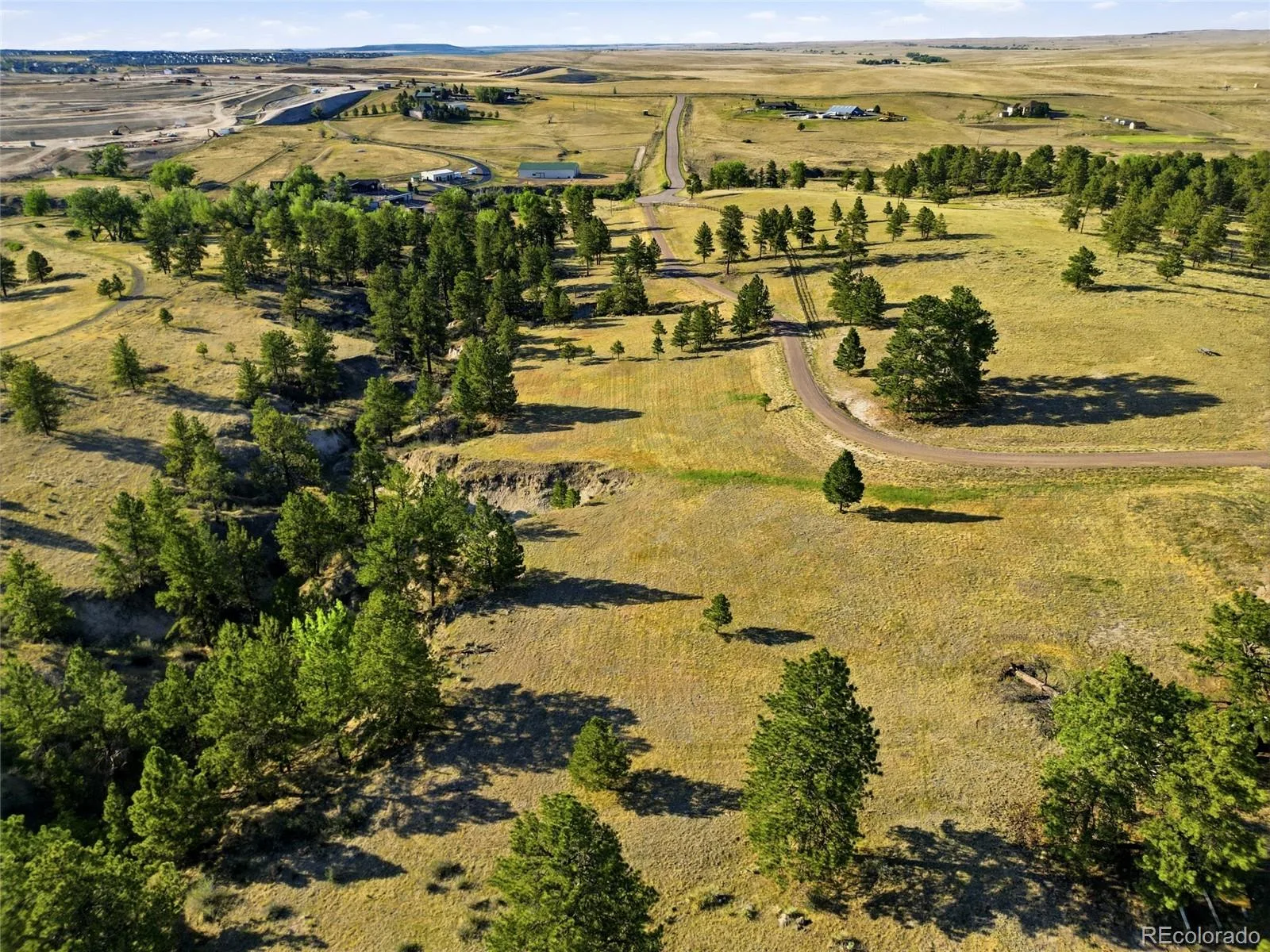47682 Knibbe Court Parker CO 80138 | MLS #REC7823012 08012026210141 1600 23
