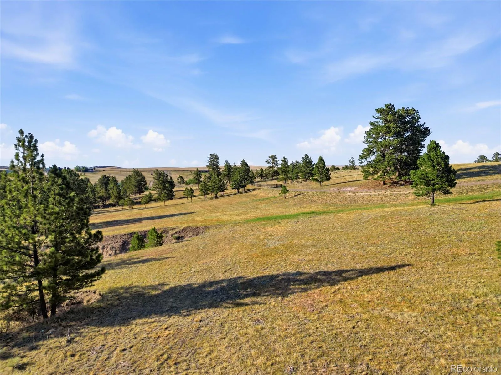 47682 Knibbe Court Parker CO 80138 | MLS #REC7823012 08012026210141 1600 24