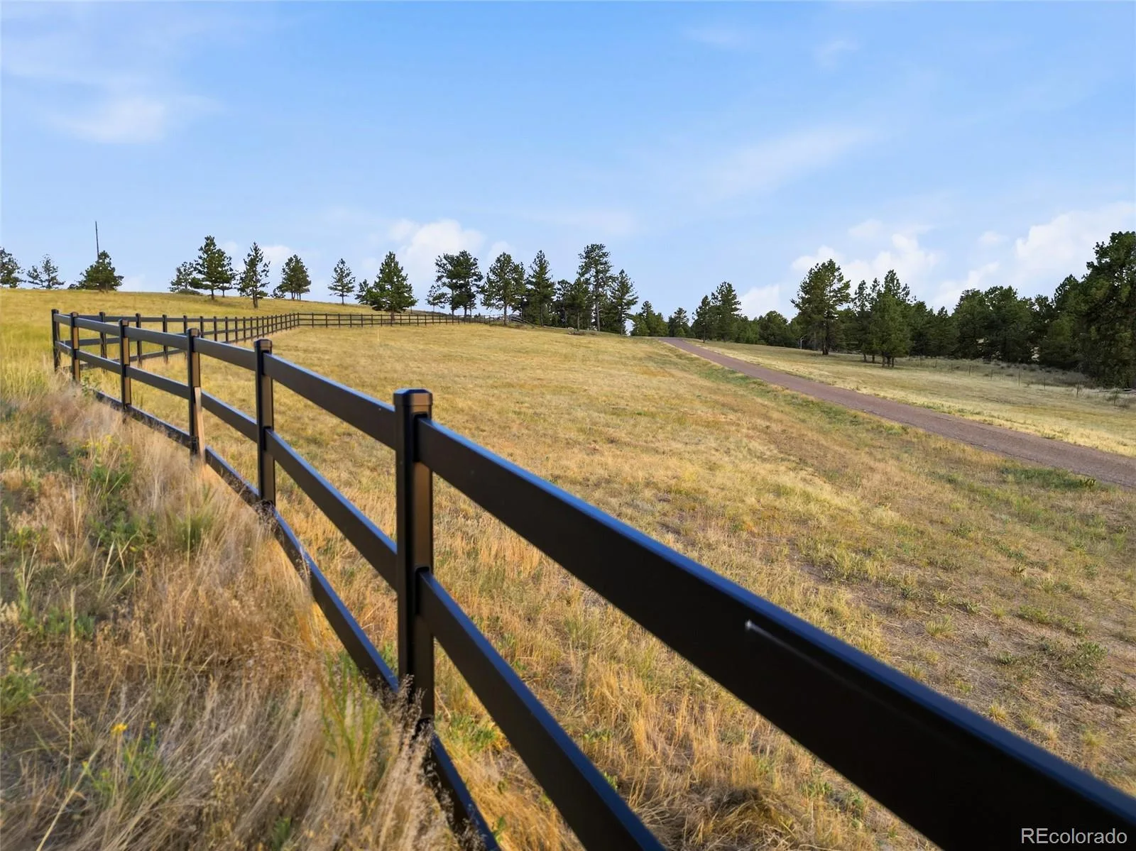 47682 Knibbe Court Parker CO 80138 | MLS #REC7823012 08012026210141 1600 27