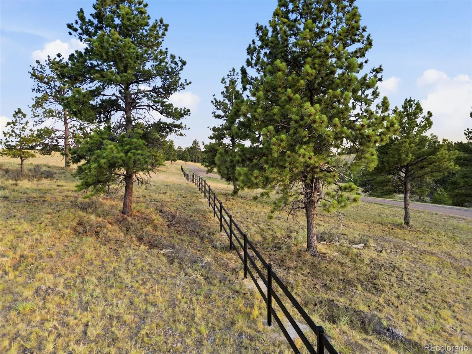 47682 Knibbe Court Parker CO 80138 | MLS #REC7823012 08012026210141 1600 28