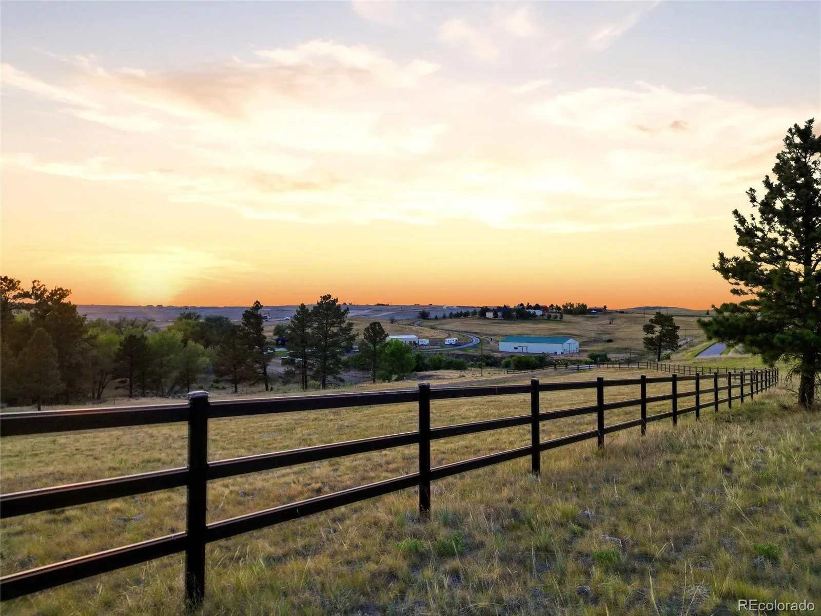 47682 Knibbe Court Parker CO 80138 | MLS #REC7823012 08012026210141 1600 3