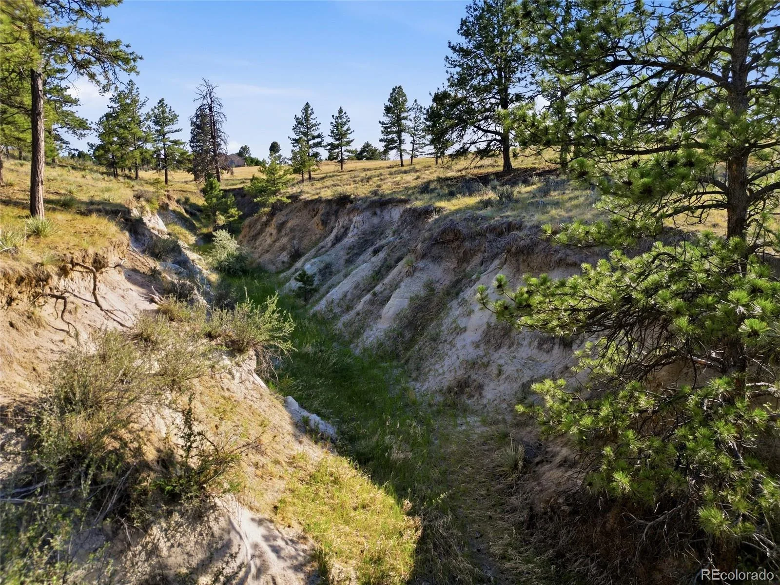 47682 Knibbe Court Parker CO 80138 | MLS #REC7823012 08012026210141 1600 35