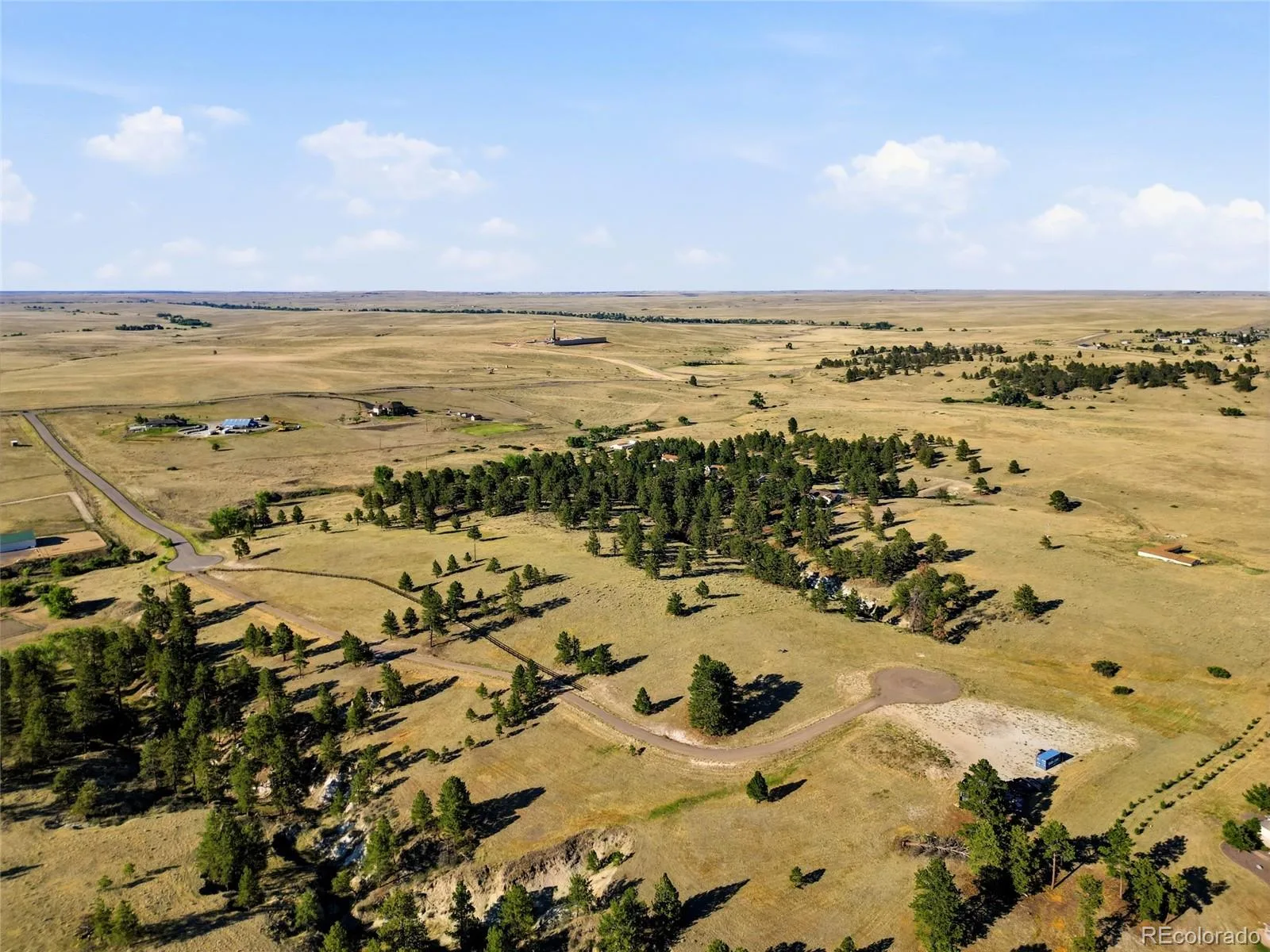 47682 Knibbe Court Parker CO 80138 | MLS #REC7823012 08012026210141 1600 36