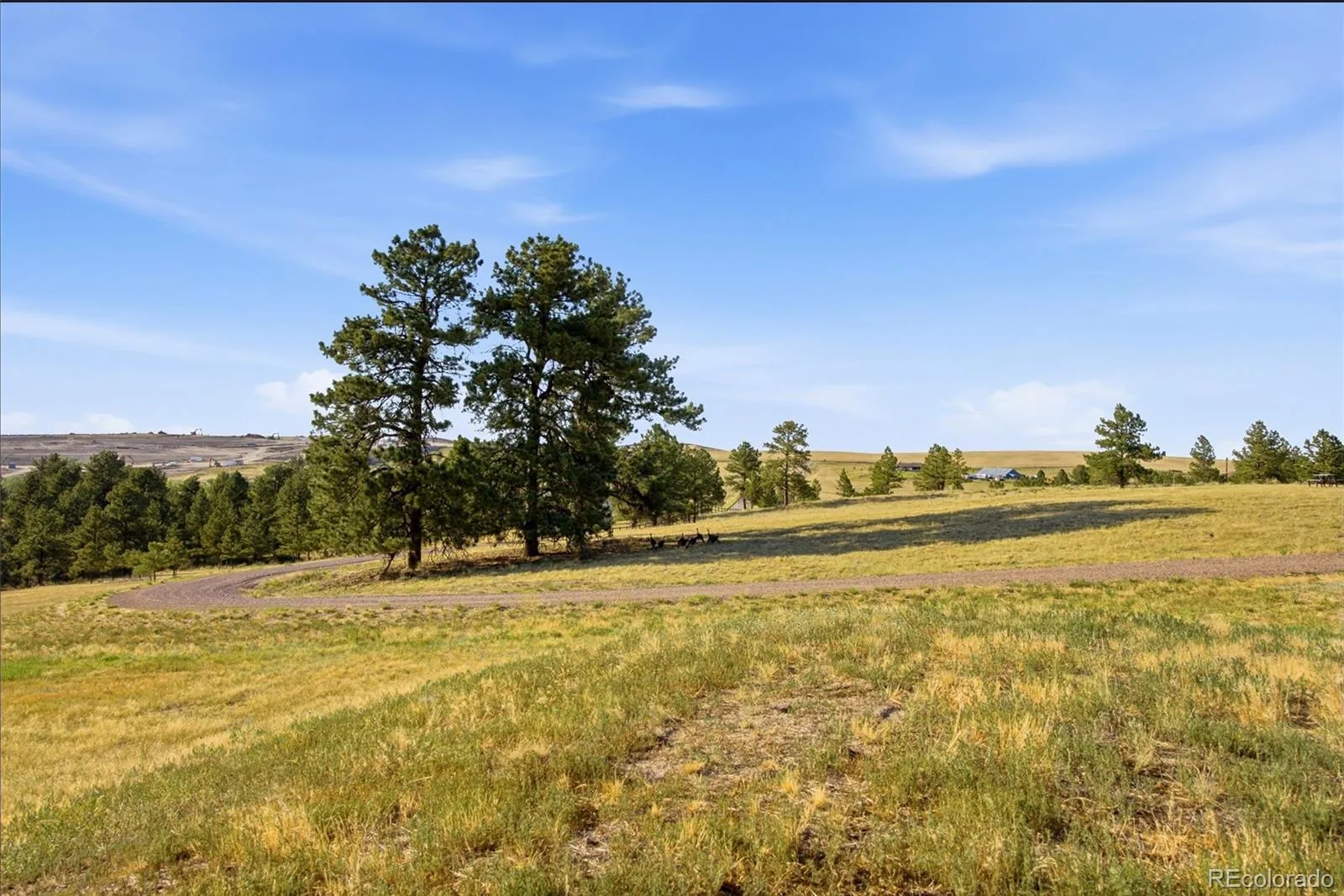 47682 Knibbe Court Parker CO 80138 | MLS #REC7823012 08012026210141 1600 39