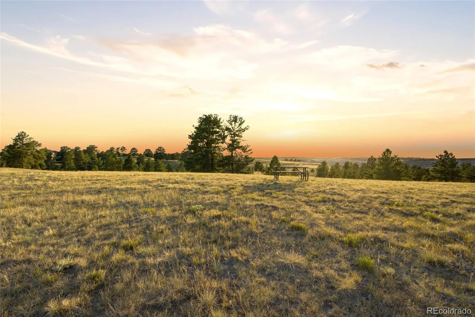 47682 Knibbe Court Parker CO 80138 | MLS #REC7823012 08012026210141 1600 4