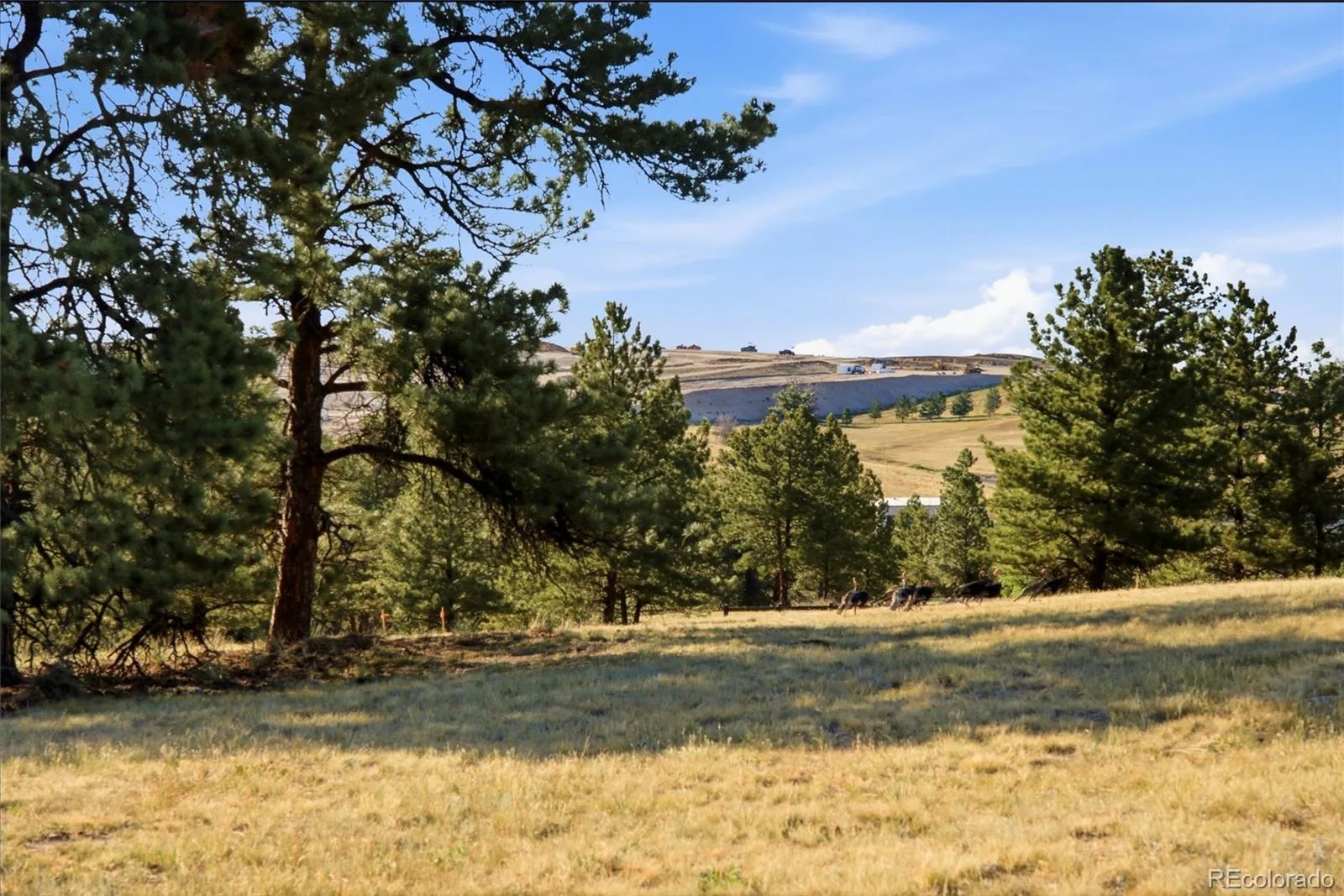 47682 Knibbe Court Parker CO 80138 | MLS #REC7823012 08012026210141 1600 40