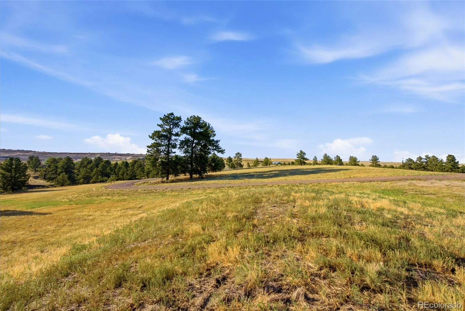 47682 Knibbe Court Parker CO 80138 | MLS #REC7823012 08012026210141 1600 41