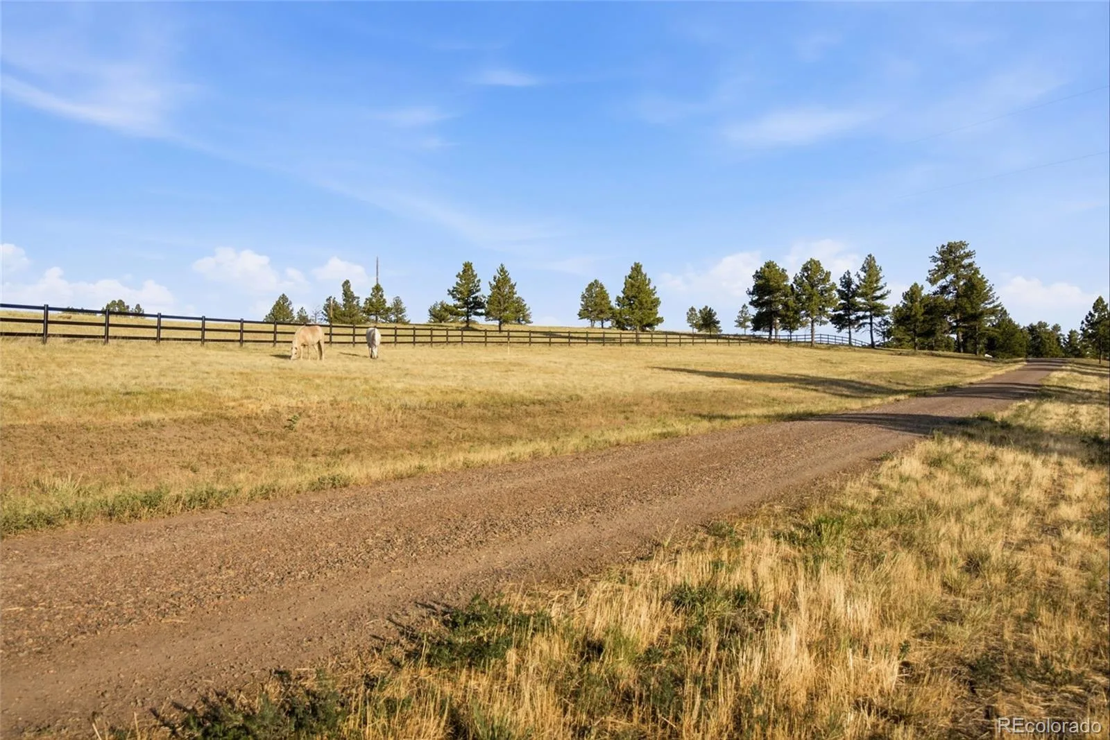 47682 Knibbe Court Parker CO 80138 | MLS #REC7823012 08012026210141 1600 43