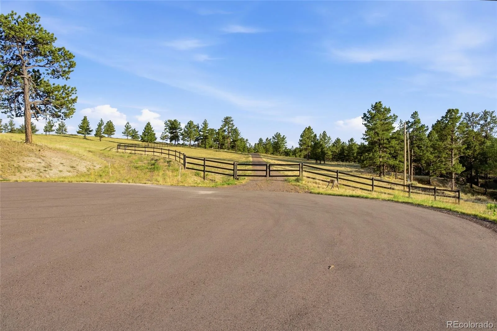 47682 Knibbe Court Parker CO 80138 | MLS #REC7823012 08012026210141 1600 44