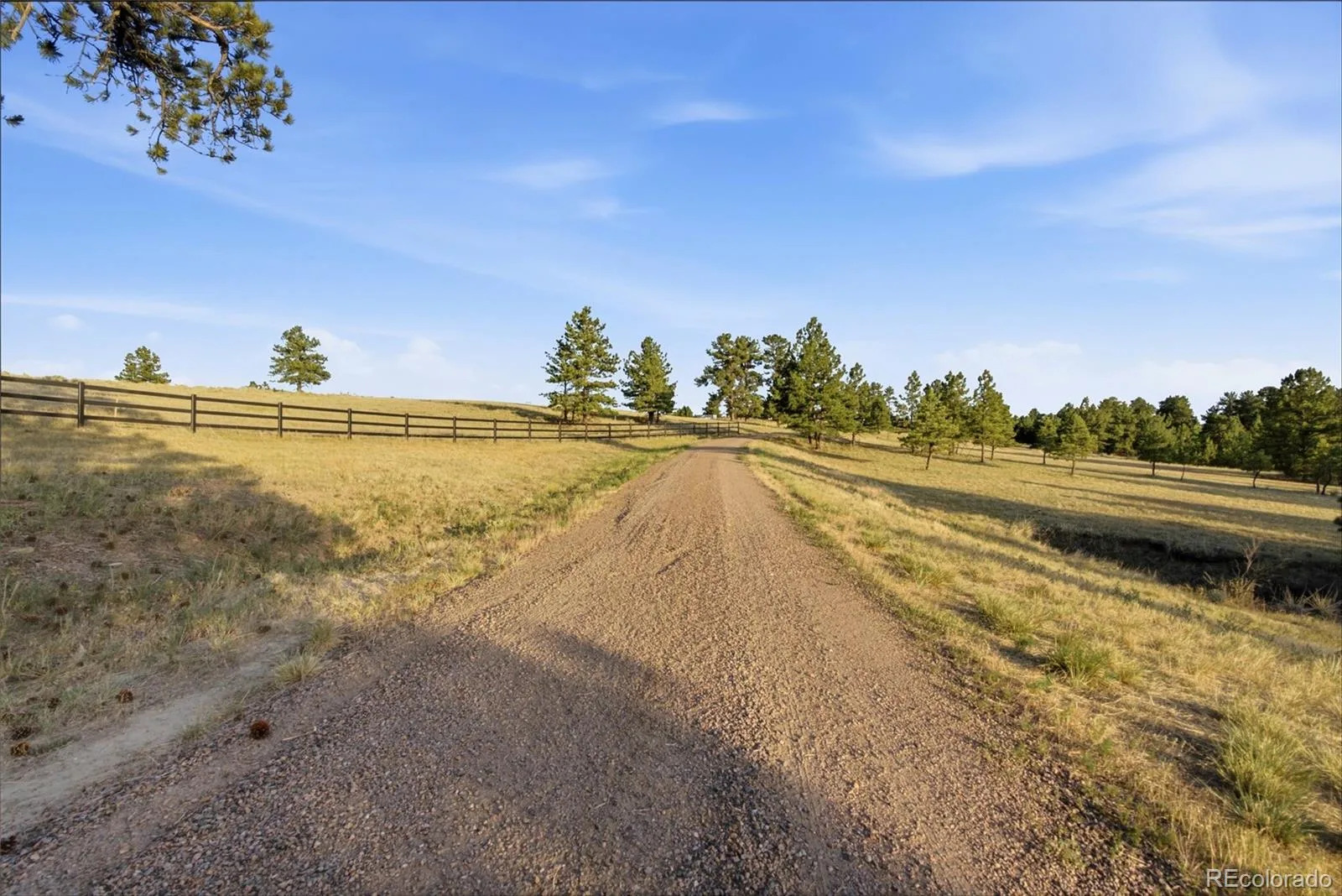 47682 Knibbe Court Parker CO 80138 | MLS #REC7823012 08012026210141 1600 45