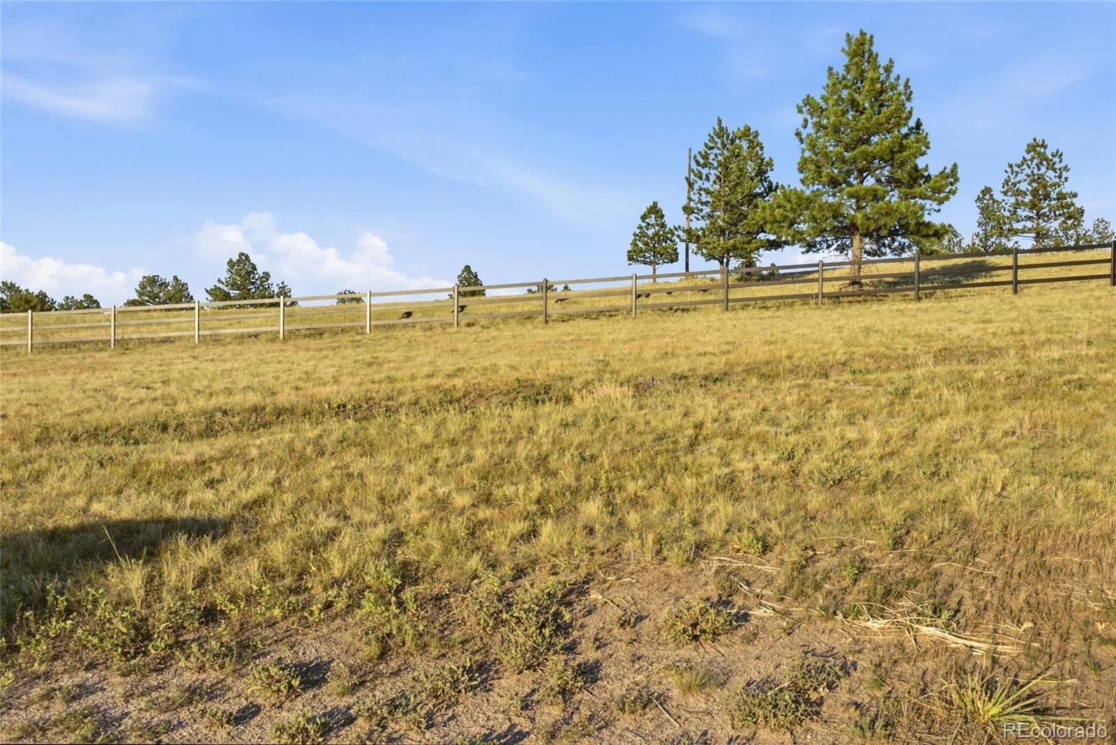 47682 Knibbe Court Parker CO 80138 | MLS #REC7823012 08012026210141 1600 46