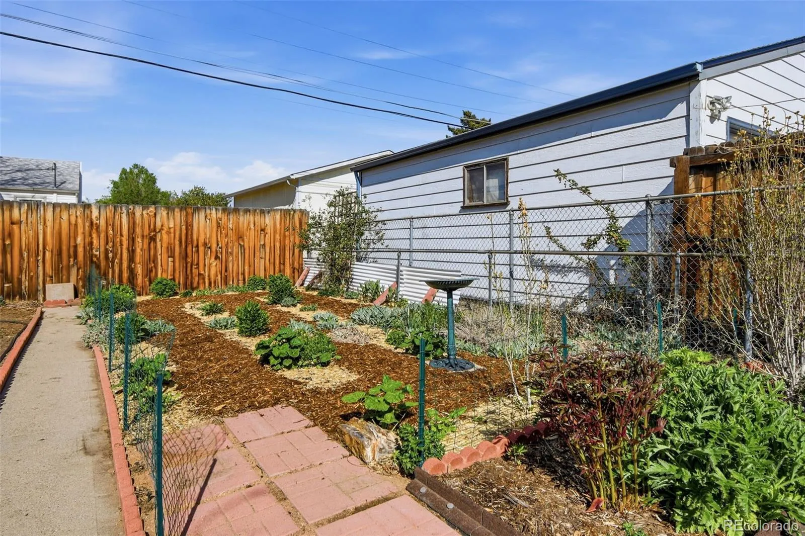 04182026170218 1600 18