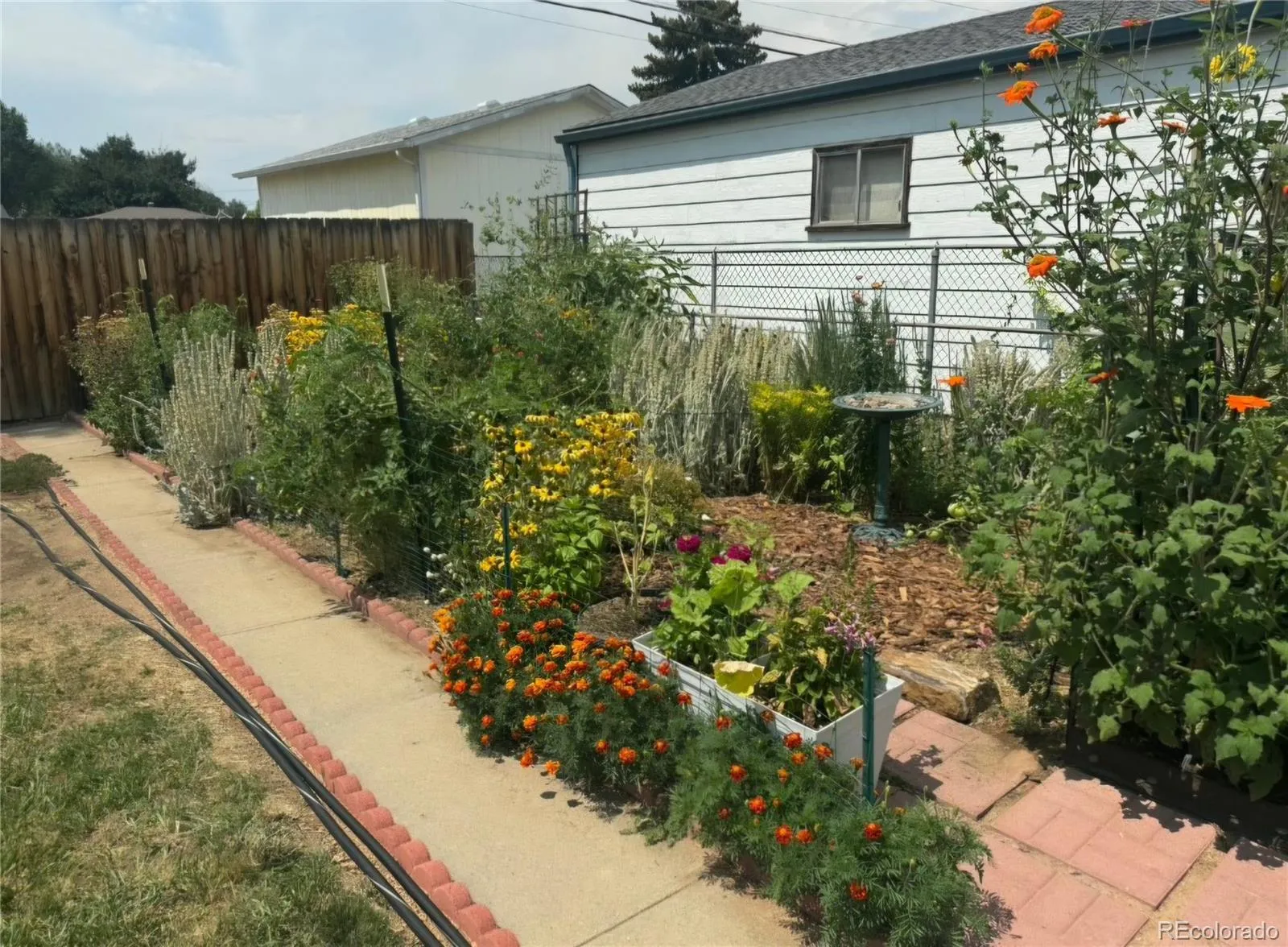 04182026170218 1600 22