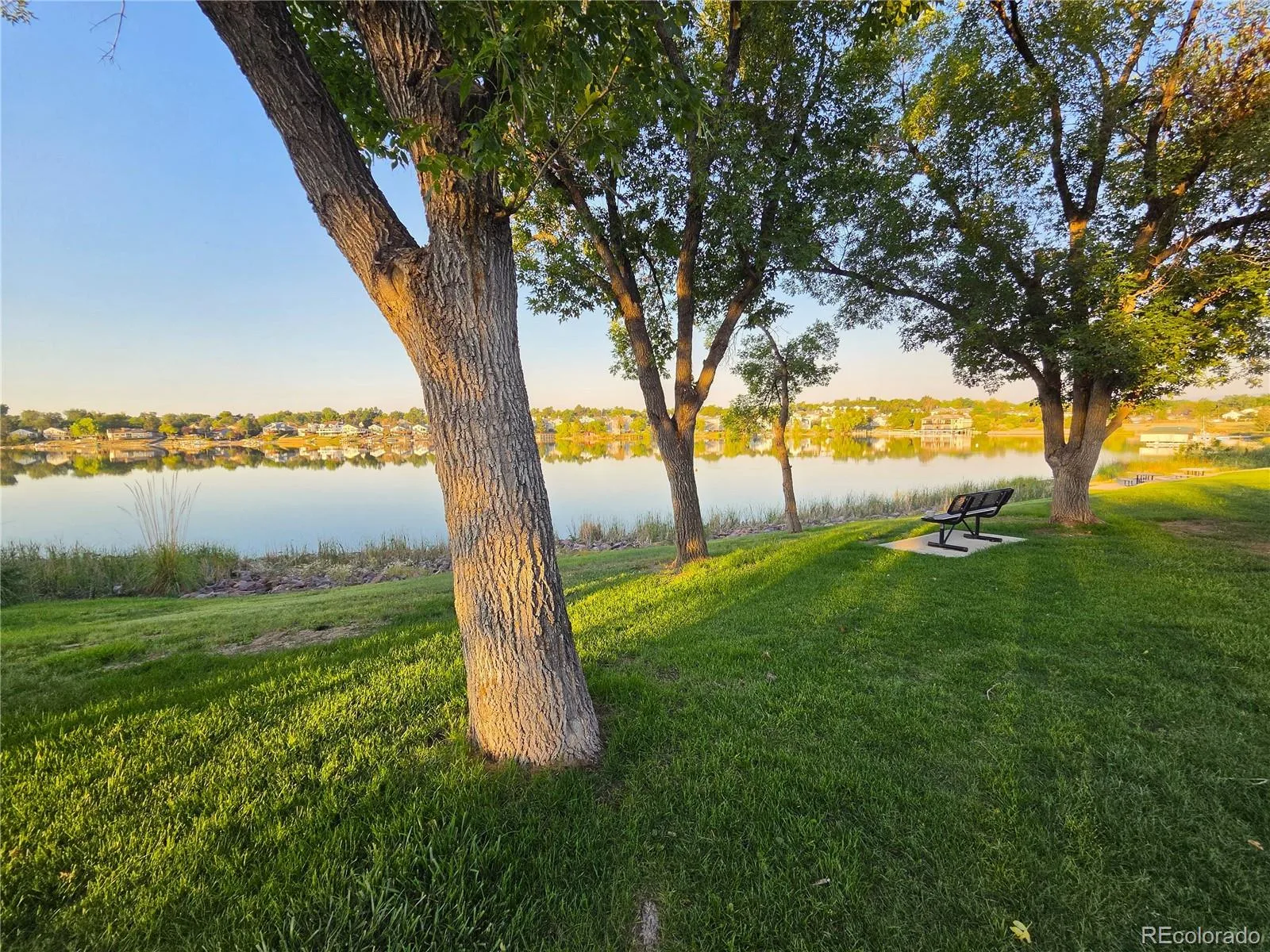 4699 W 69th Avenue Westminster CO 80030 MLS #REC7832801 07032026043140 1600 45