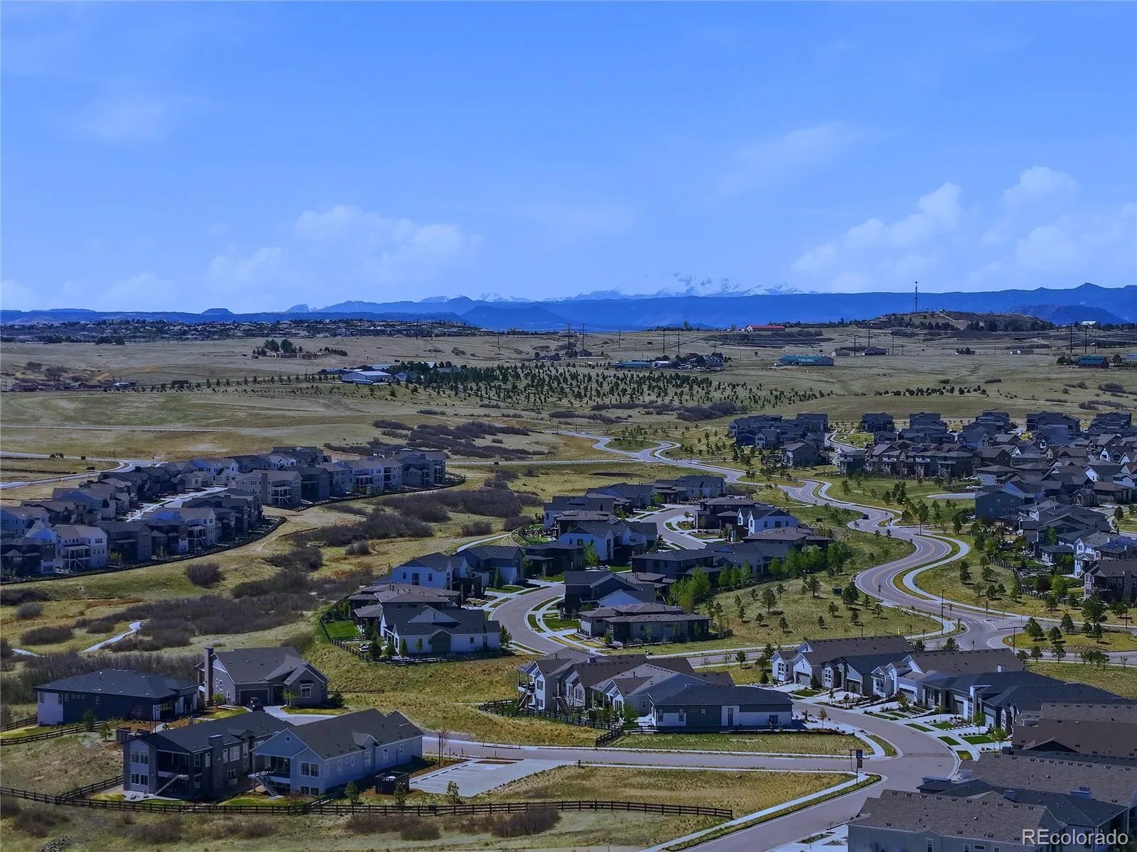 7010 Sagerock Road Castle Pines CO 80108 MLS #REC7835309 07082026003331 1600 40