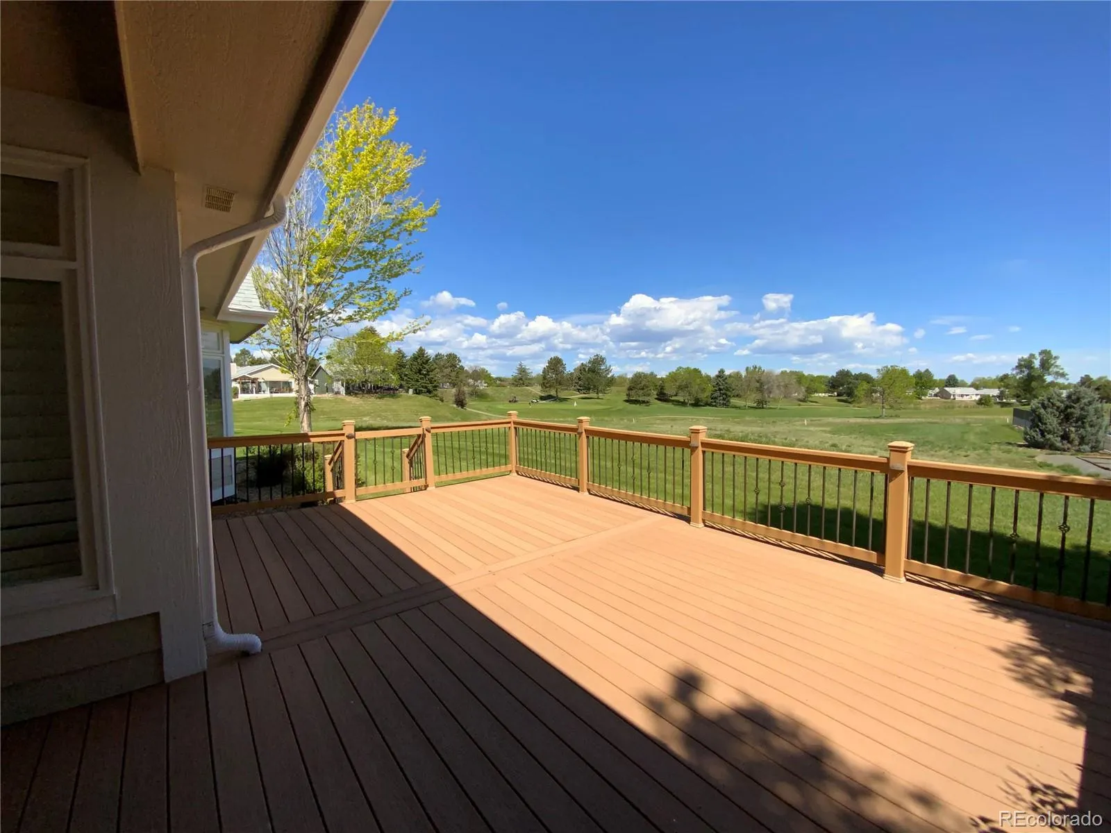 2 Mackenzie Court Highlands Ranch CO 80130 MLS #REC7836334 05242026213439 1600 15