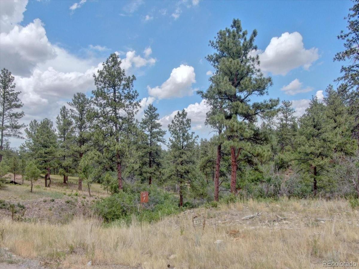 MLS #REC7838537 image #0