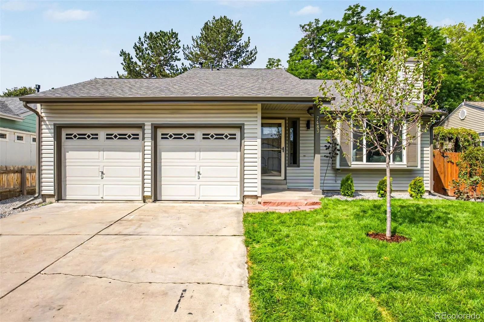 7483 Benton Street Arvada CO 80003 | MLS #REC7842693 08062026181927 1600 1