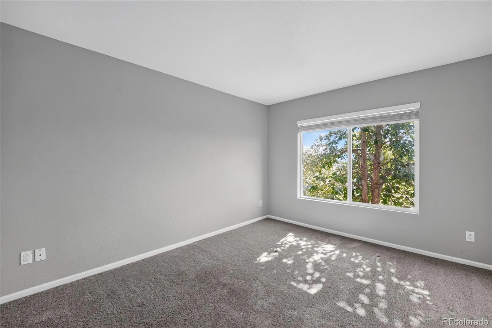 1601 Fraser Court #202 Aurora CO 80011 | MLS #REC7844095 07312026172855 1600 17