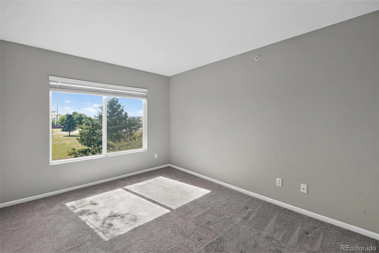 1601 Fraser Court #202 Aurora CO 80011 | MLS #REC7844095 07312026172855 1600 19
