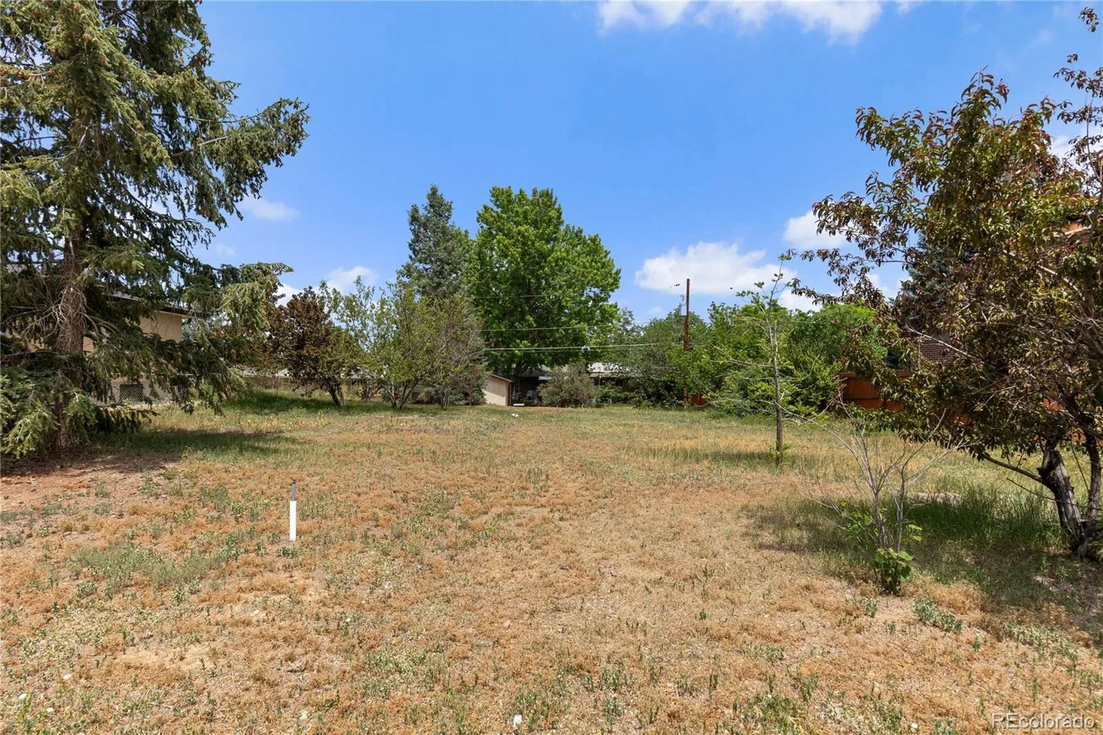 4161 W Tufts Avenue Denver CO 80236 | MLS #REC7845290 08072026154712 1600 7