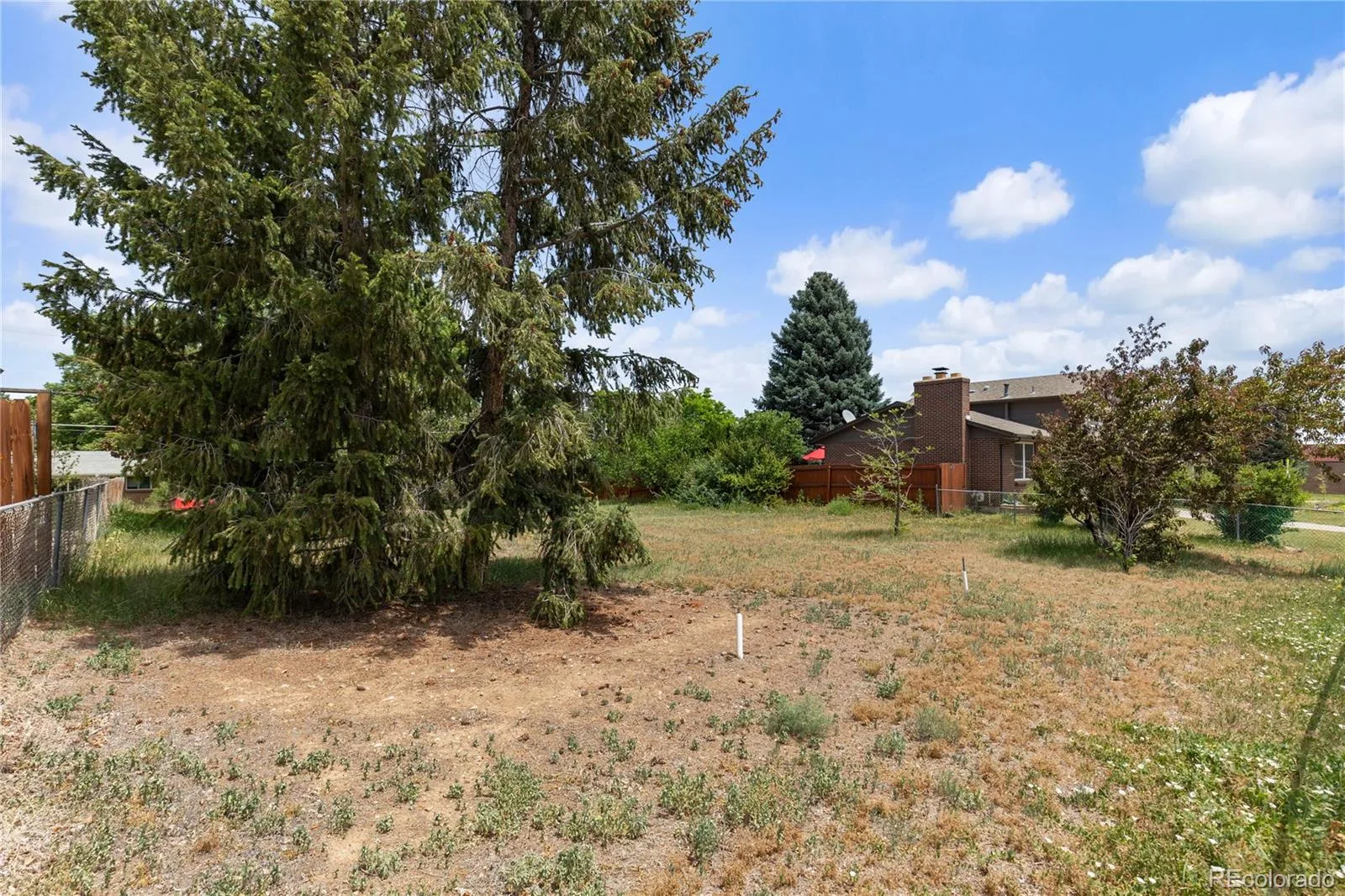 4161 W Tufts Avenue Denver CO 80236 | MLS #REC7845290 08072026154712 1600 8