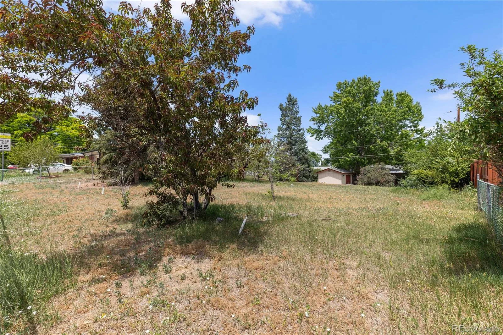 4161 W Tufts Avenue Denver CO 80236 | MLS #REC7845290 08072026154712 1600 9