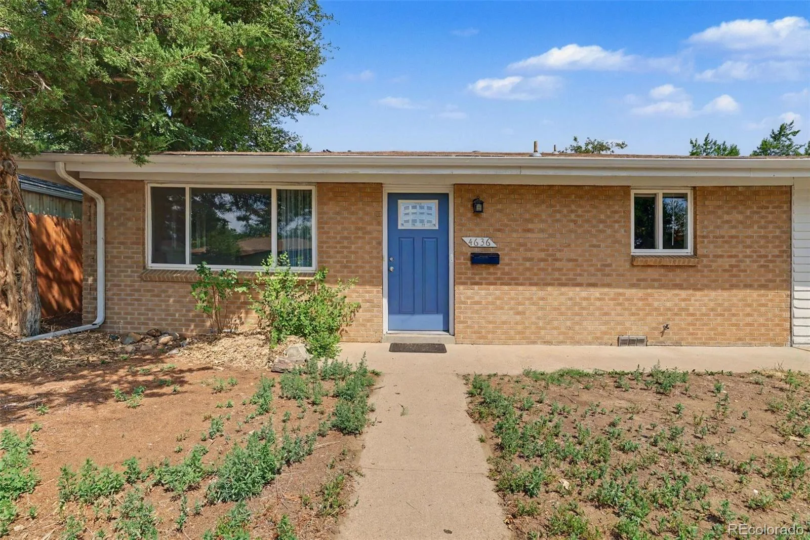 4636 Estes Street Wheat Ridge CO 80033 | MLS #REC7846237 08022026145536 1600 2