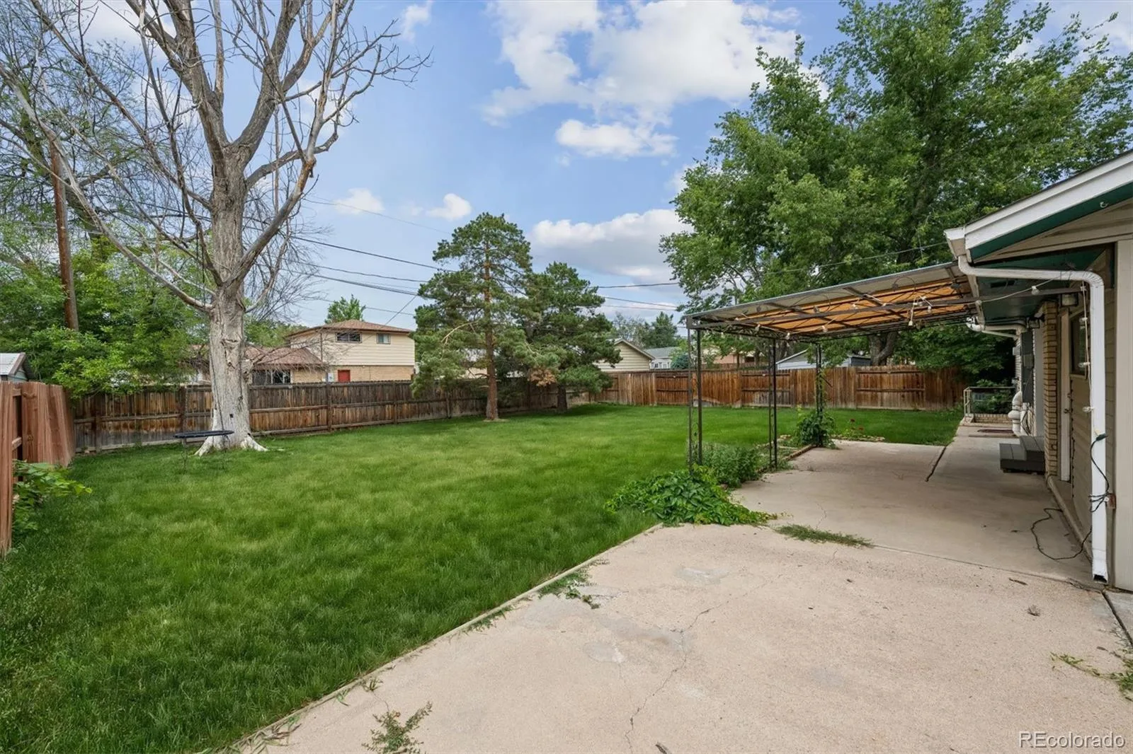 8419 Ames Street Arvada CO 80003 MLS #REC7847992 06232026033710 1600 18