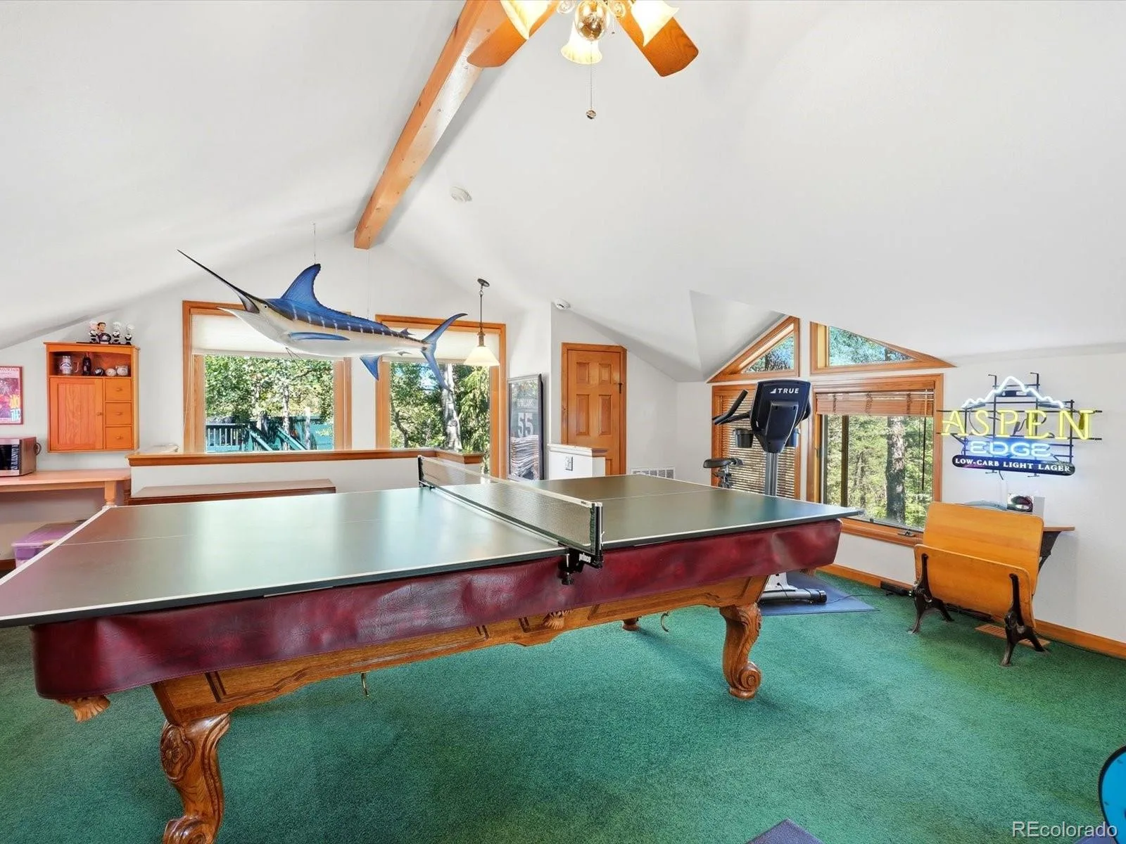450 Circle K Ranch Road Evergreen CO 80439 | MLS #REC7848644 07082026233019 1600 47