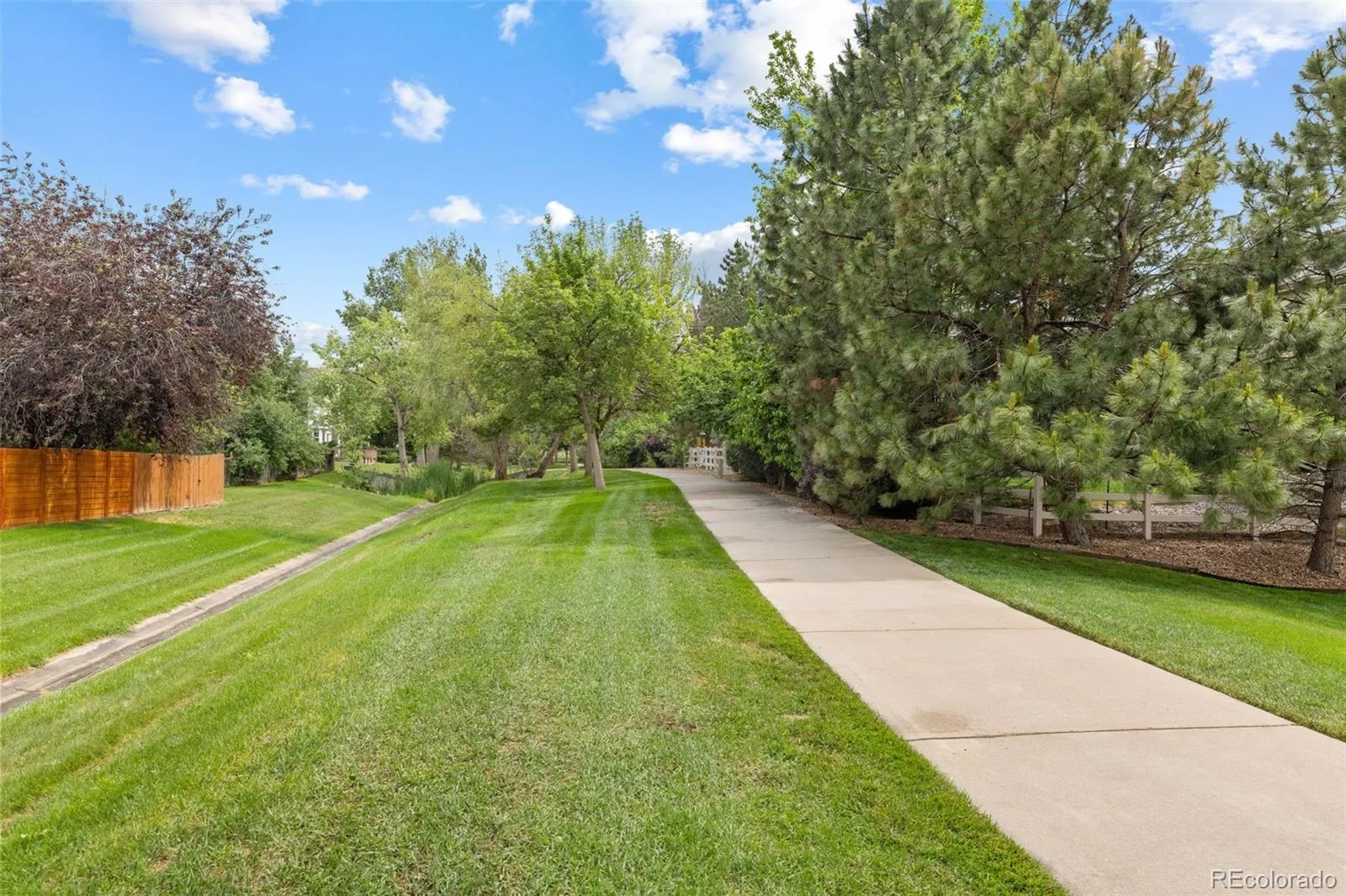 11056 Clay Drive Denver CO 80234 MLS #REC7857782 06082026204709 1600 40