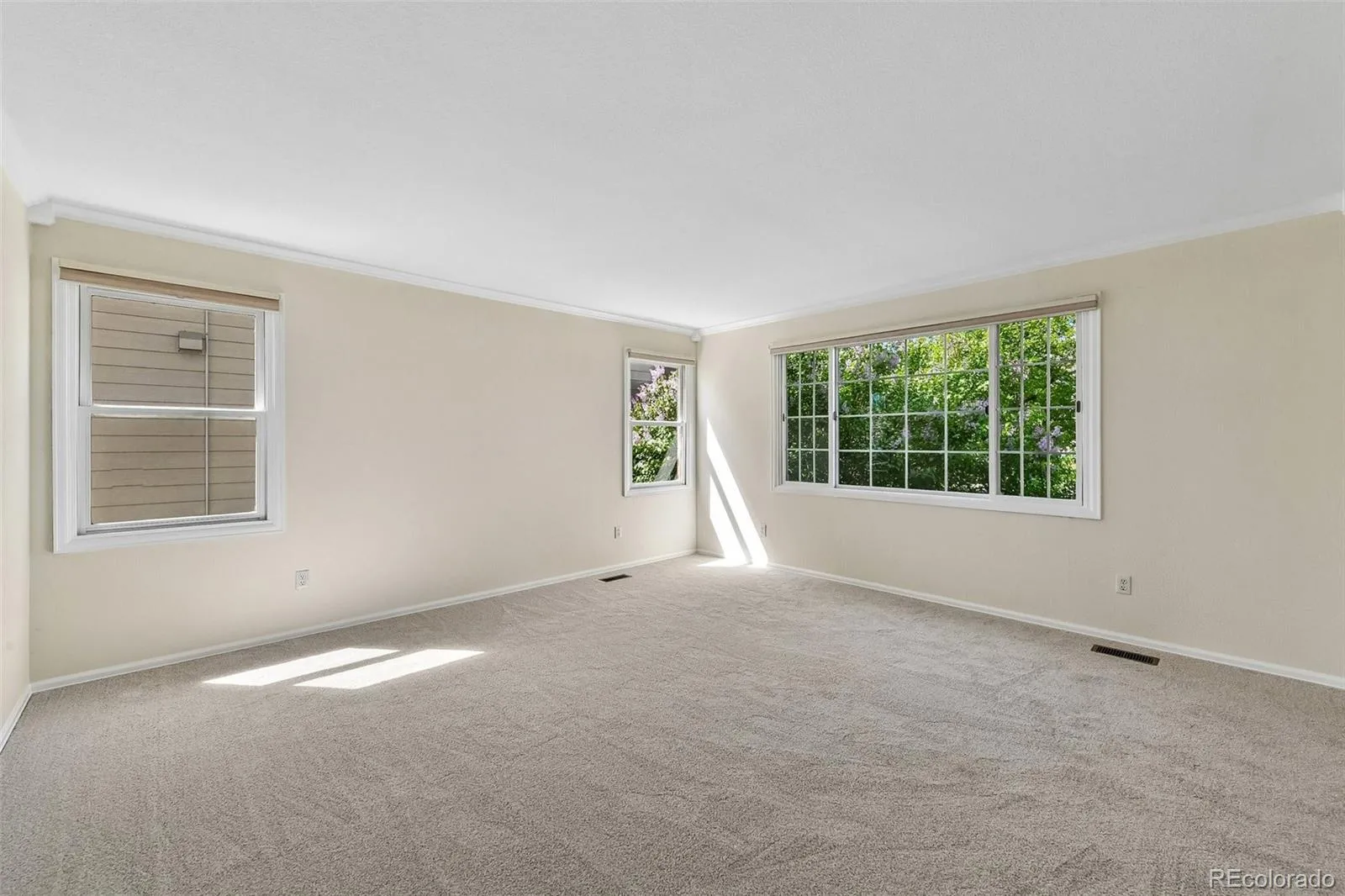 04092026223916 1600 20