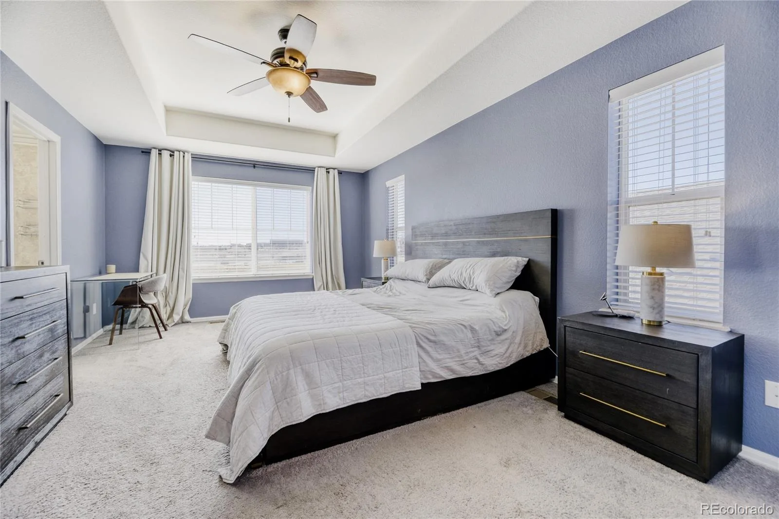 16584 Azalea Avenue Parker CO 80134 MLS #REC7874820 07222026175045 1600 10