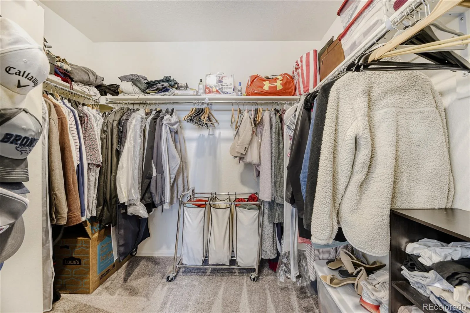16584 Azalea Avenue Parker CO 80134 MLS #REC7874820 07222026175045 1600 14