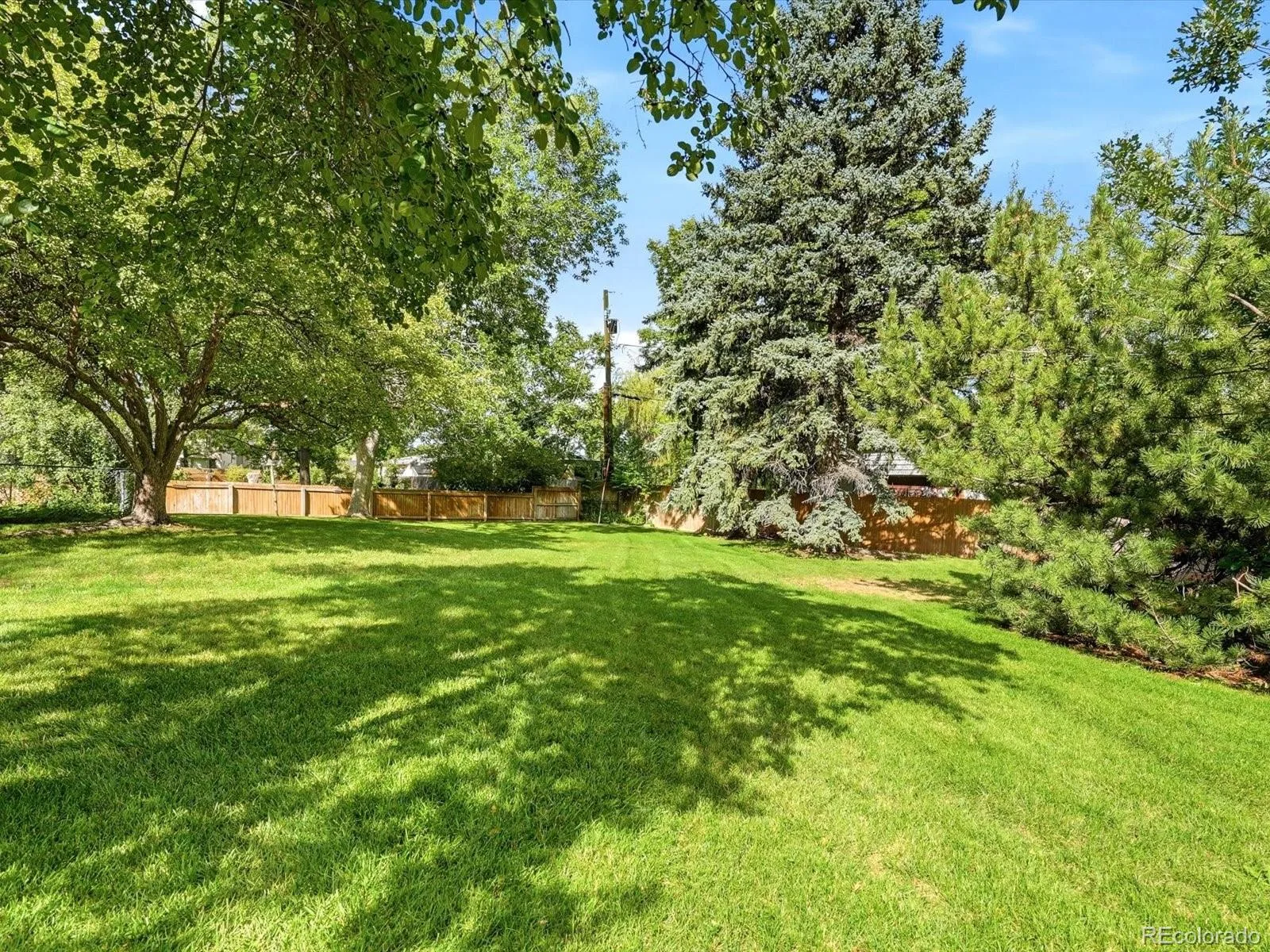 3380 Garrison Street Wheat Ridge CO 80033 | MLS #REC7882481 09032026174919 1600 41
